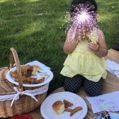 Low price Wicker Picnic Basket, Hamper, Shell Shaped Picnic Basket, Complete Picnic Basket, Farm House decor, Coastal décor