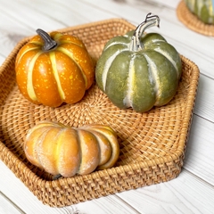 Eco-friendly rattan tray made from Vietnam, woven handmade