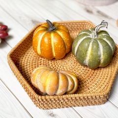 Eco-friendly rattan tray made from Vietnam, woven handmade