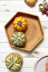 Eco-friendly rattan tray made from Vietnam, woven handmade