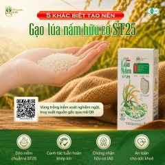 Gạo Lúa Nấm ST25