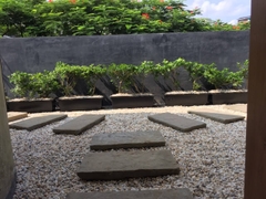 Sỏi tự nhiên 26