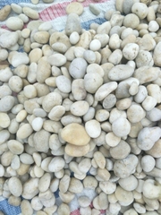 Sỏi tự nhiên 28