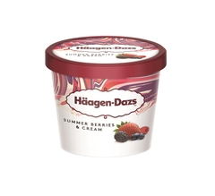 Kem hỗn hợp dâu rừng hộp mini HAAGEN-DAZS 100ml