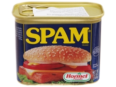 Thịt hộp Hormel Spam Classic 340g