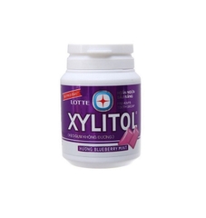 Kẹo cao su Blueberry XYLITOL 58g