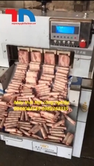 Máy thái thịt đông lạnh công nghiệp 