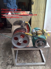 Máy nghiền nghệ tươi | Máy nghiền tinh bột nghệ 