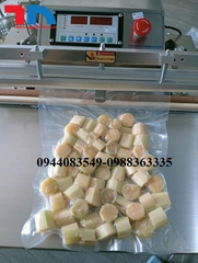 Máy đóng gói hút chân không 1 vòi VS500