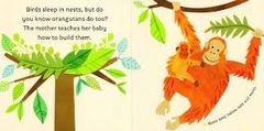 Hello, World! Baby Animals