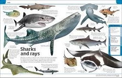 Animal Knowledge Genius!