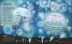 Earth's Incredible Oceans