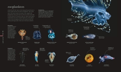 The Science of the Ocean : The Secrets of the Seas Revealed