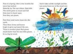 The Tiny Seed