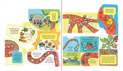 Look inside what happens when we eat