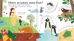 LIFT THE FLAPS Q&A WHERE DO BABIES COME FROM