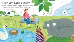 LIFT THE FLAPS Q&A WHERE DO BABIES COME FROM