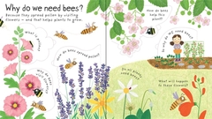 Lift-the-flap First Questions and Answers: Why do we need bees?