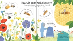 Lift-the-flap First Questions and Answers: Why do we need bees?