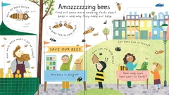 Lift-the-flap First Questions and Answers: Why do we need bees?