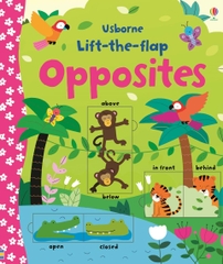Lift-the-flap: Opposites