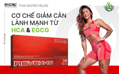 CƠ CHẾ GIẢM CÂN LÀNH MẠNH TỪ HCA VÀ EGCG