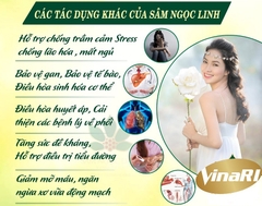 Sâm Ngọc Linh Ngâm Rượu 4 Củ /100gram