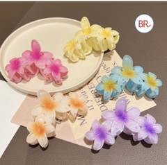 Kẹp Tóc HOA SỨ ( Thùng 1000)