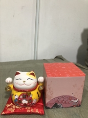 Mèo Thần Tài (Thùng 60)