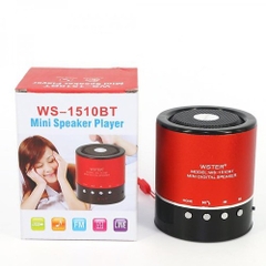 LOA BLUETOOTH WS-1510