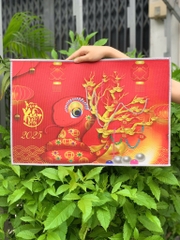 (Thảm Đơn) Thảm Tết Màu Đỏ Sắc Xuân Về 2025 (Bao 300 Cái)