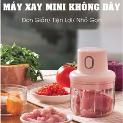 Máy Xay Mini Sạc Điện Dung Tích 250ml ( Thùng 60 )