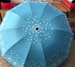 Dù Che Mưa Hình Hoa