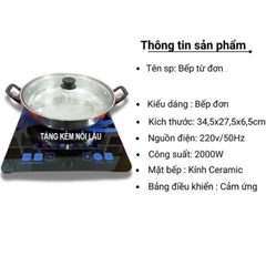 ( Kèm Nồi ) Bếp Từ Cảm Ứng PHILIP HH89 ( Thùng 5 )