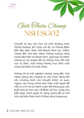 [NSHSG02] CĂN BẢN QUẢN TRỊ CUỘC SỐNG VỚI NHÂN SỐ HỌC TẠI TP. HỒ CHÍ MINH