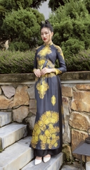 Traditional Vietnamese dress with Gold Gilding pattern