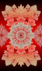 Lotus vermilion/black silk fabric