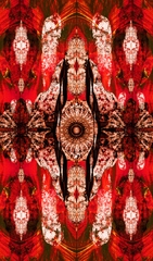 Eggshell Lacquer T8 scarlet silk fabric