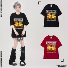 Áo Thun Tay Lỡ HY KOREA Cotton 100 Gấu đôi Pretty 1245 Form Rộng Unisex