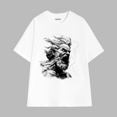 Áo Thun Hevents cotton 100% Co giãn 2 chiều thấm hút mồ hôi phom rộng tay lỡ unisex 1347