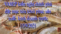 VASEP kiến nghị Chính phủ đặt mục tiêu khôi phục sản xuất, kinh doanh trước 15/9