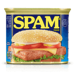 미국 호멜 스팸 클래식 340g Thit hop Hormel Spam Classic