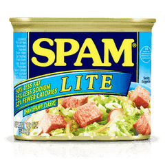 미국 호멜 스팸 라이트 340g Thit hop Hormel Spam Lite