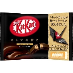 일본 네슬레 킷캣 미니 다크 171G NESTLE Kitkat mini dark