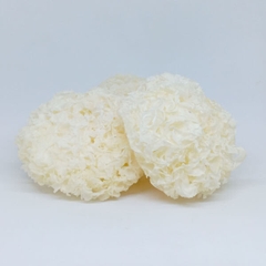 흰목이버섯 (은이버섯) - 2송이 Nam tuyet 2 bong