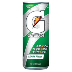 롯데칠성 게토레이 250ml LOTTE Gatorade lon