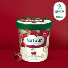 롯데 나뚜르 체리블라썸 아이스크림 파인트 474ml NATUUR Kem cherry blossom