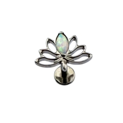 Khuyên Tai Titanium 0172