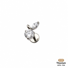 Khuyên Tai Titanium 0211