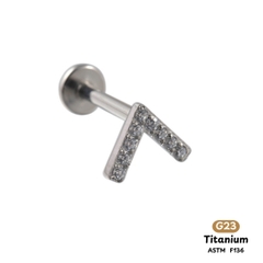 Khuyên Tai Titanium 001